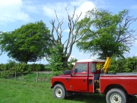 7th June 2008 008